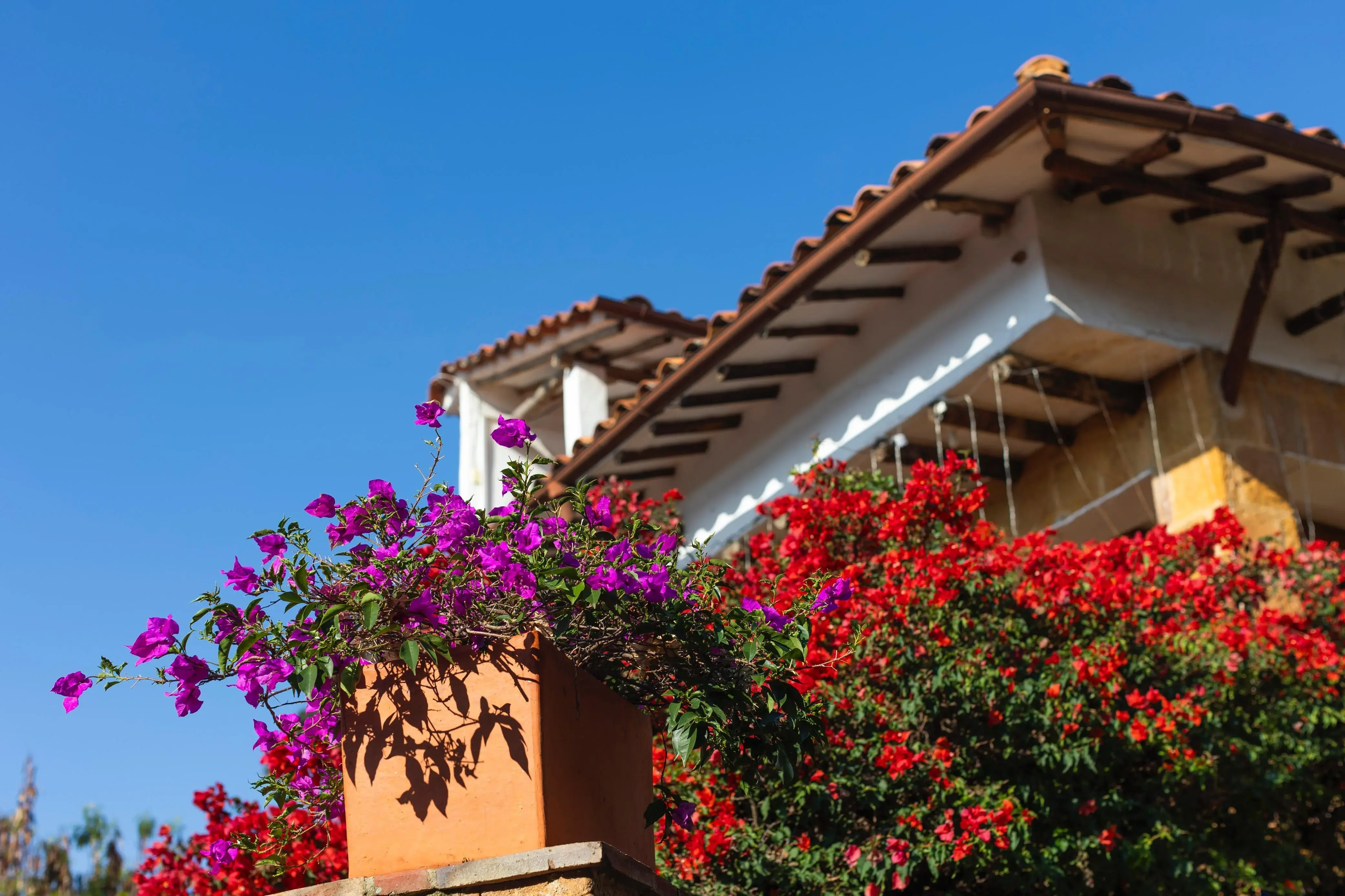 Hotel Hicasua Barichara Primavera